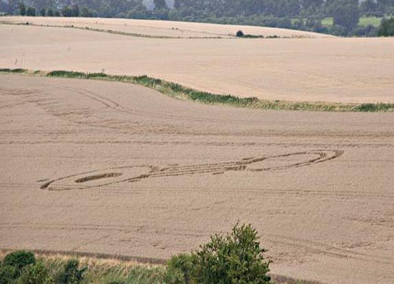 crop circle at Cheesefoot Head | August 18 2008