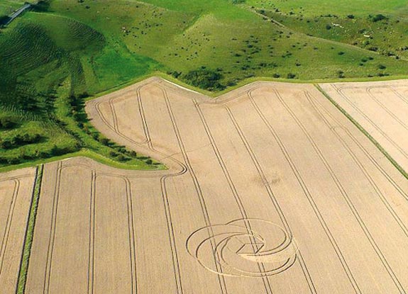 crop circle at Alton Barnes | August 24 2008