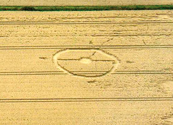 crop circle at Wedhampton | August 25 2008