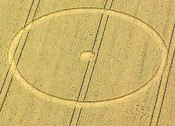 crop circle at Allington | September 07 2008