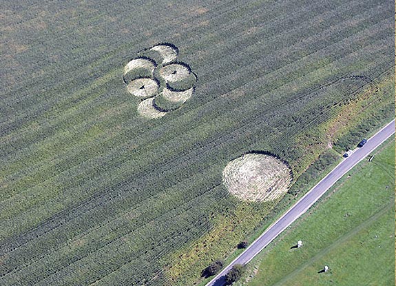 crop circle at Avebury Stone Avenue | September 14 2008