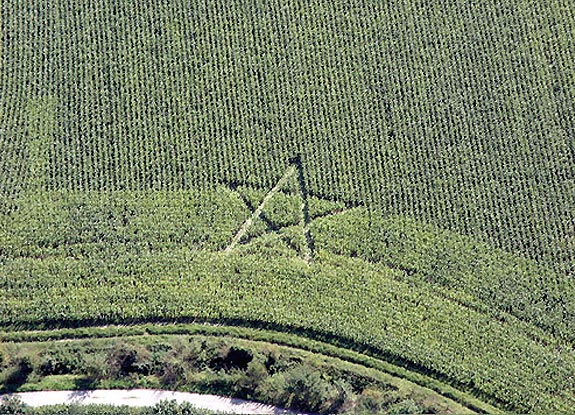 crop circle at Broad Hinton | September 18 2008