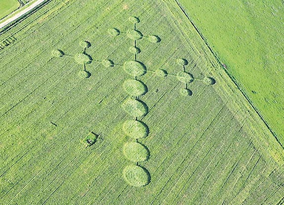 crop circle at Avebury Down | September 28 2008