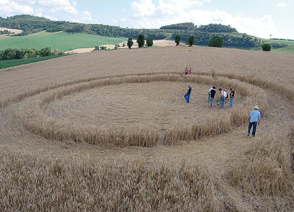 crop circle at Ipuacu | November 08 2008