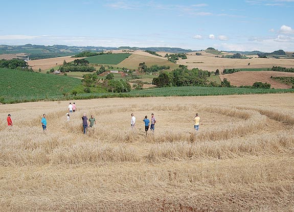 crop circle at Ipuacu | November 09 2008