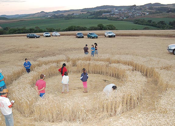 crop circle at Ipuacu | November 15 2008