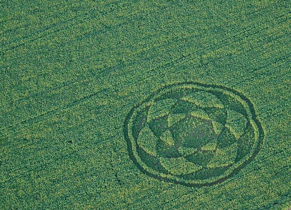 crop circle at Niedernjesa | November 15 2008