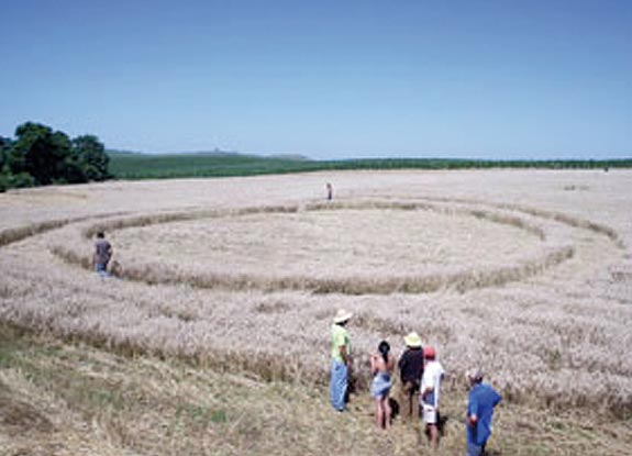 crop circle at Formosa Do Sul | November 19 2008