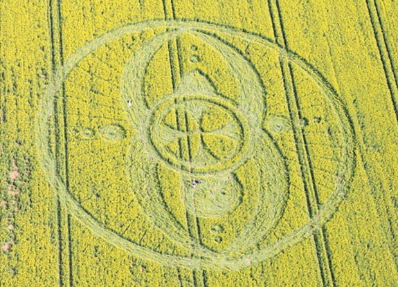 crop circle at West Kennett | April 19 2009