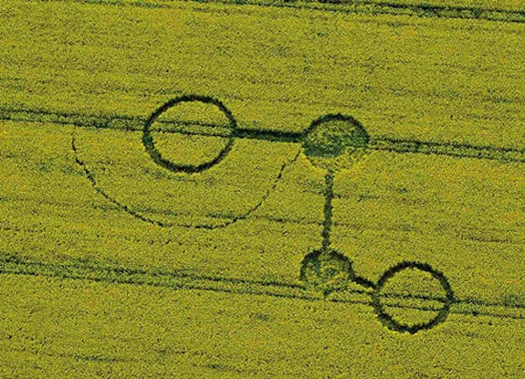 crop circle at Morgans Hill | April 24 2009