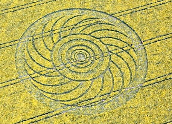 crop circle at Roundway Hill | April 29 2009