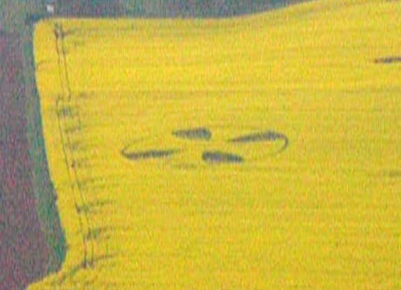 crop circle at Wattenbach | May 01 2009