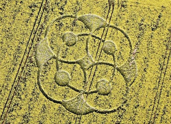 crop circle at East Kennett | May 03 2009