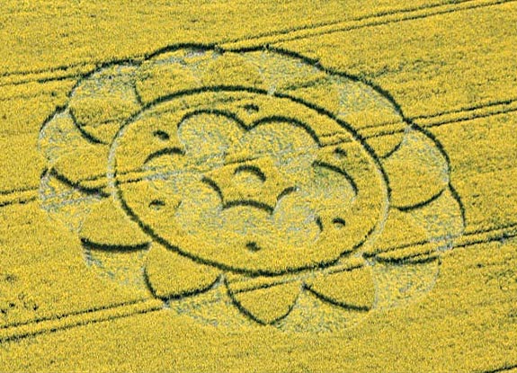 crop circle at All Cannings | May 06 2009