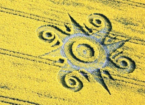 crop circle at Roundway Devizes | May 10 2009