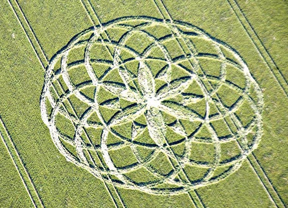 crop circle at Bishops Cannings | May 24 2009