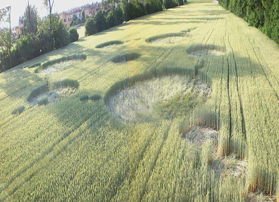 crop circle at Brugherio | May 25 2009