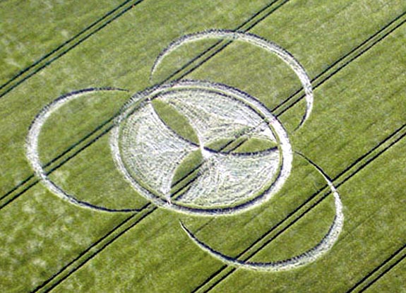 crop circle at Ehlen | May 30 2009