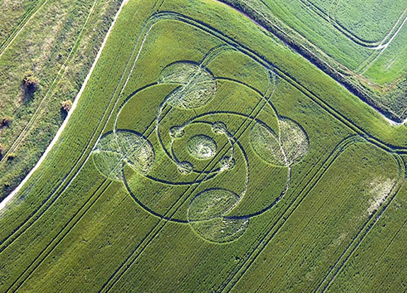 crop circle at Beckhampton | June 01 2009