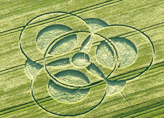 crop circle at Chiseldon | June 05 2009