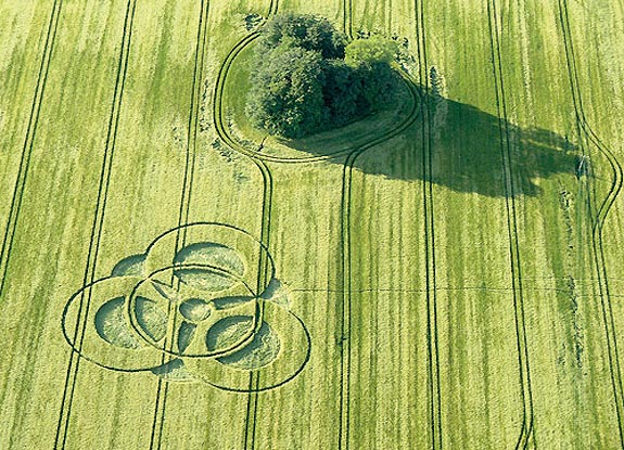 crop circle at Chiseldon | June 05 2009