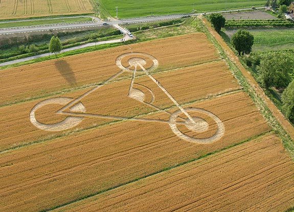 crop circle at Castelfranco | June 06 2009