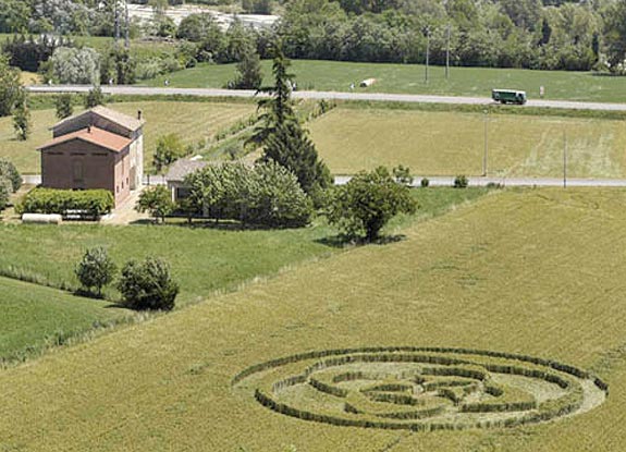 crop circle at Torrechiara | June 11 2009