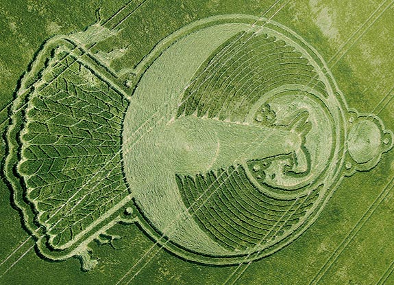 crop circle at Yatesbury | June 12 2009