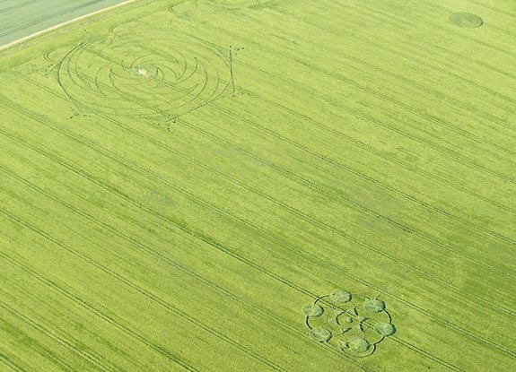 crop circle at Milk Hill | June 13 2009