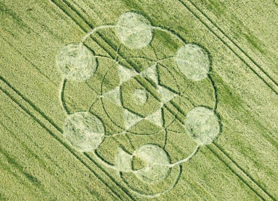 crop circle at Milk Hill | June 13 2009