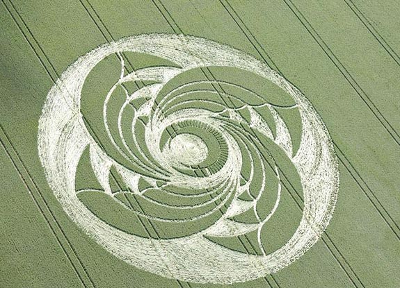 crop circle at Tawesmead Copse | June 13 2009