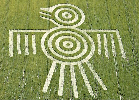 crop circle at Barbury Castle | June 14 2009