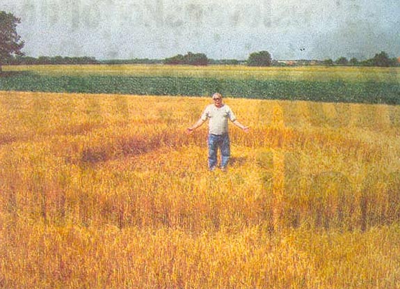 crop circle at Murska Sobota | June 15 2009