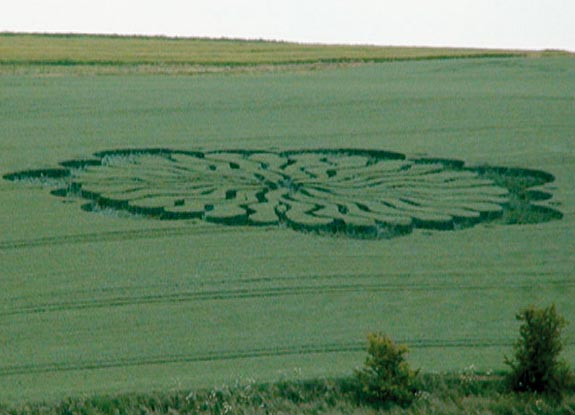 crop circle at West Kennett | June 15 2009