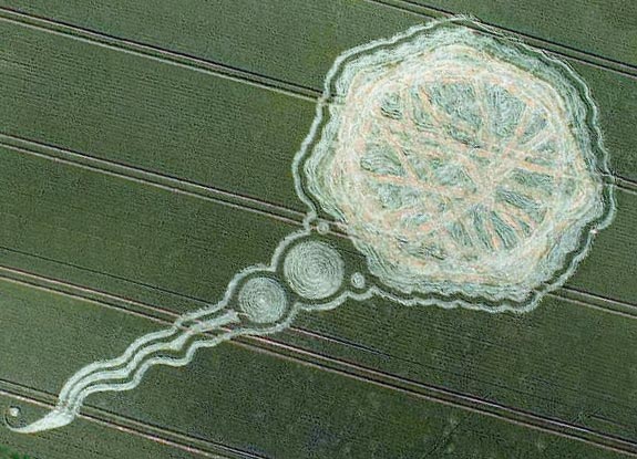 crop circle at West Kennett | June 17 2009