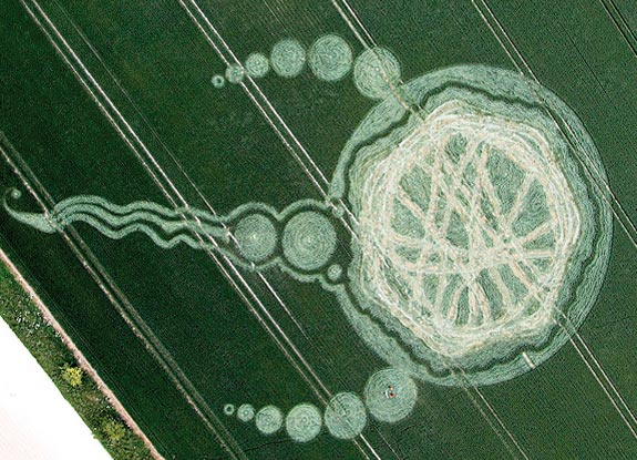 crop circle at West Kennett | June 19 2009