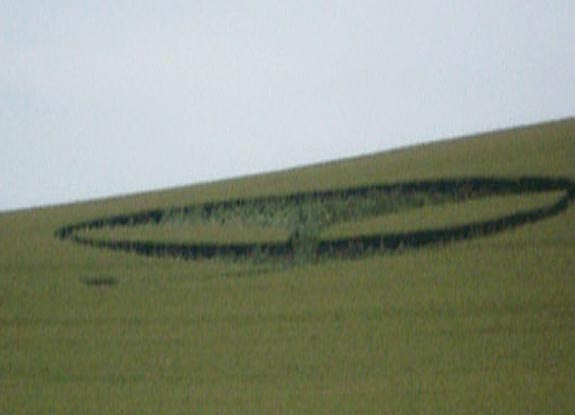crop circle at Waden Hill | June 20 2009