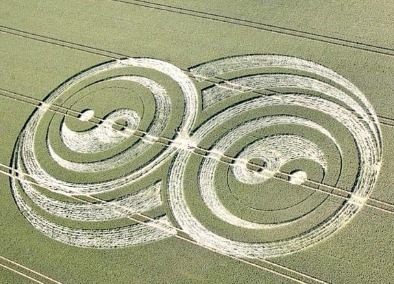 crop circle at West Kennett | June 21 2009