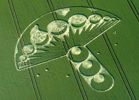 crop circle at Winterbourne Bassett | June 24 2009