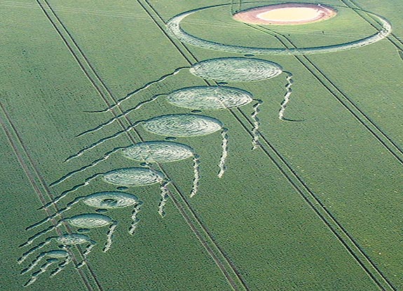 crop circle at Martinsell Hill | June 25 2009