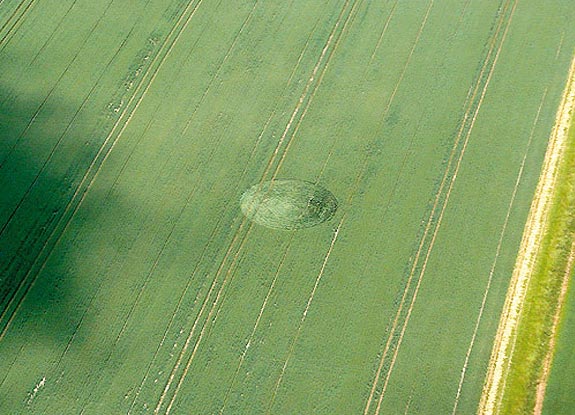 crop circle at Honeystreet | June 27 2009