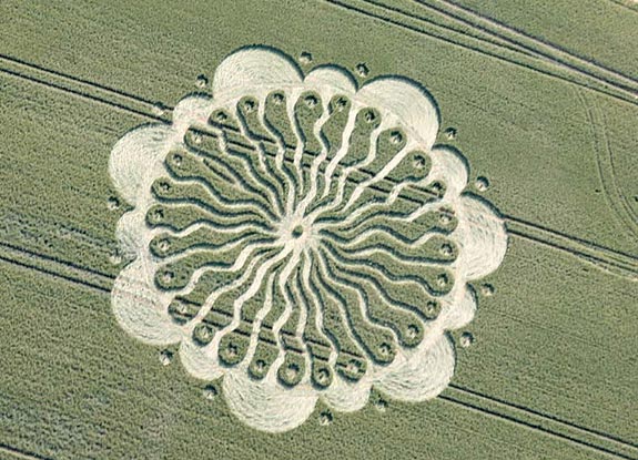 crop circle at Waden Hill | July 01 2009