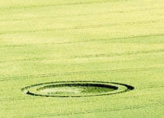 crop circle at Pewsey | July 04 2009