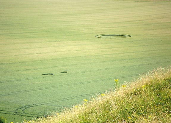 crop circle at Pewsey | July 04 2009