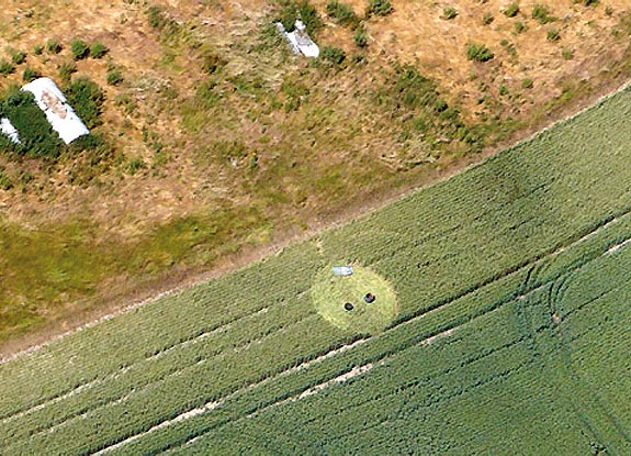 crop circle at Devizes | July 05 2009