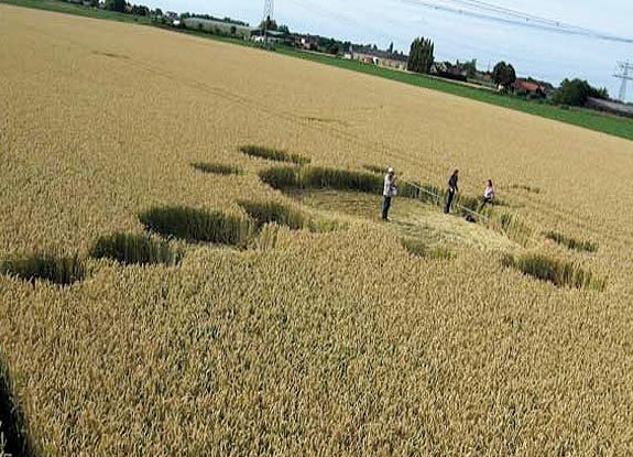 crop circle at Standdaarbuiten | July 07 2009