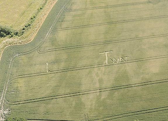 crop circle at Clatford | July 07 2009