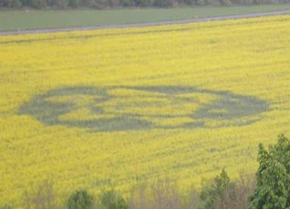 crop circle at Kozarovce | July 11 2009