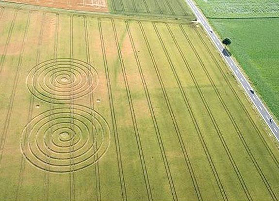 crop circle at Barterode | July 12 2009