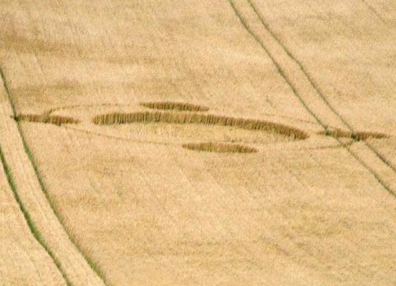 crop circle at Chilcomb Down | July 13 2009